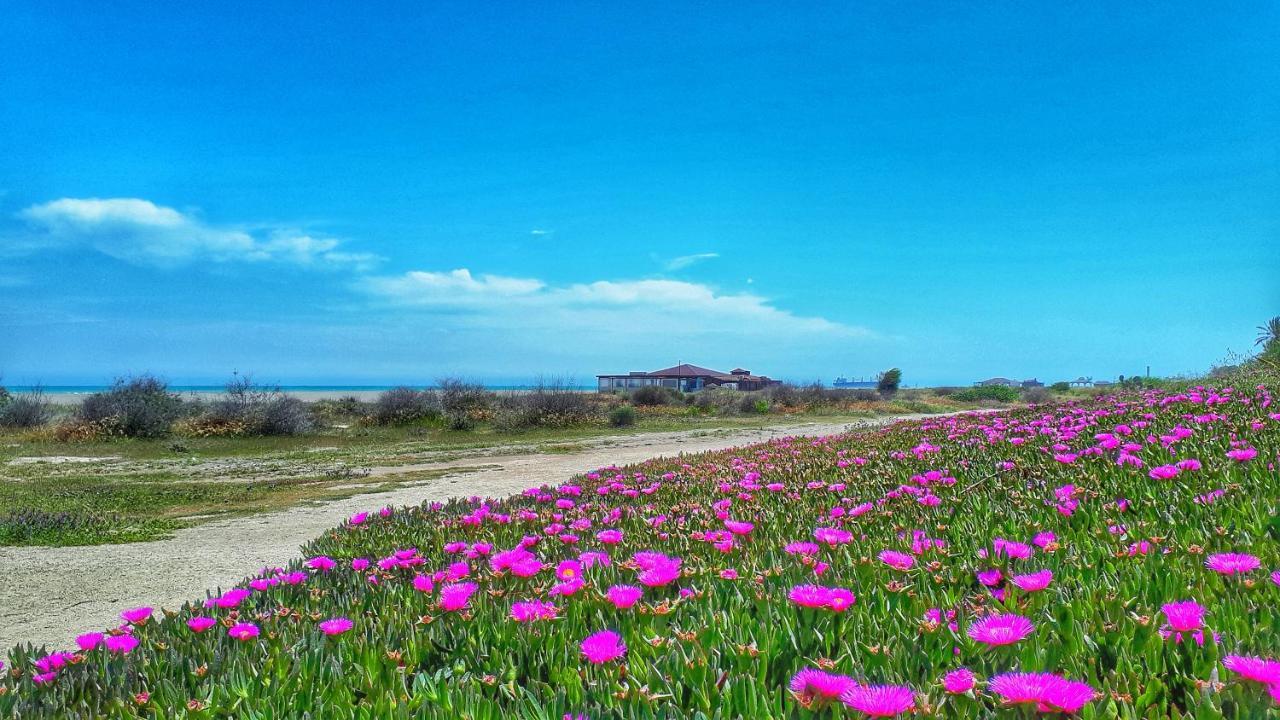 Atalaya Azul Mojacar Playa Daire Dış mekan fotoğraf